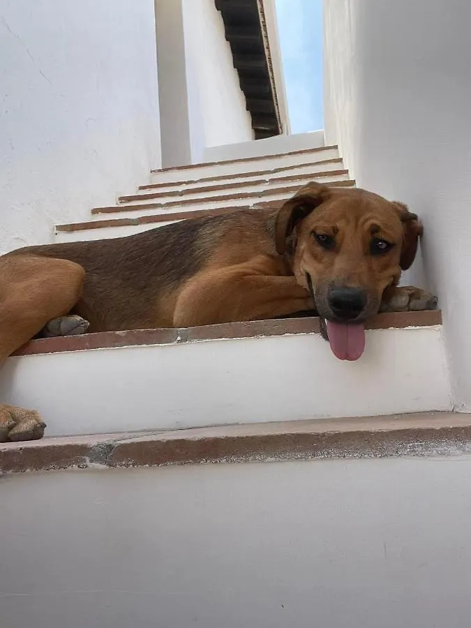 Cortijo Rancho Verde Colmenar