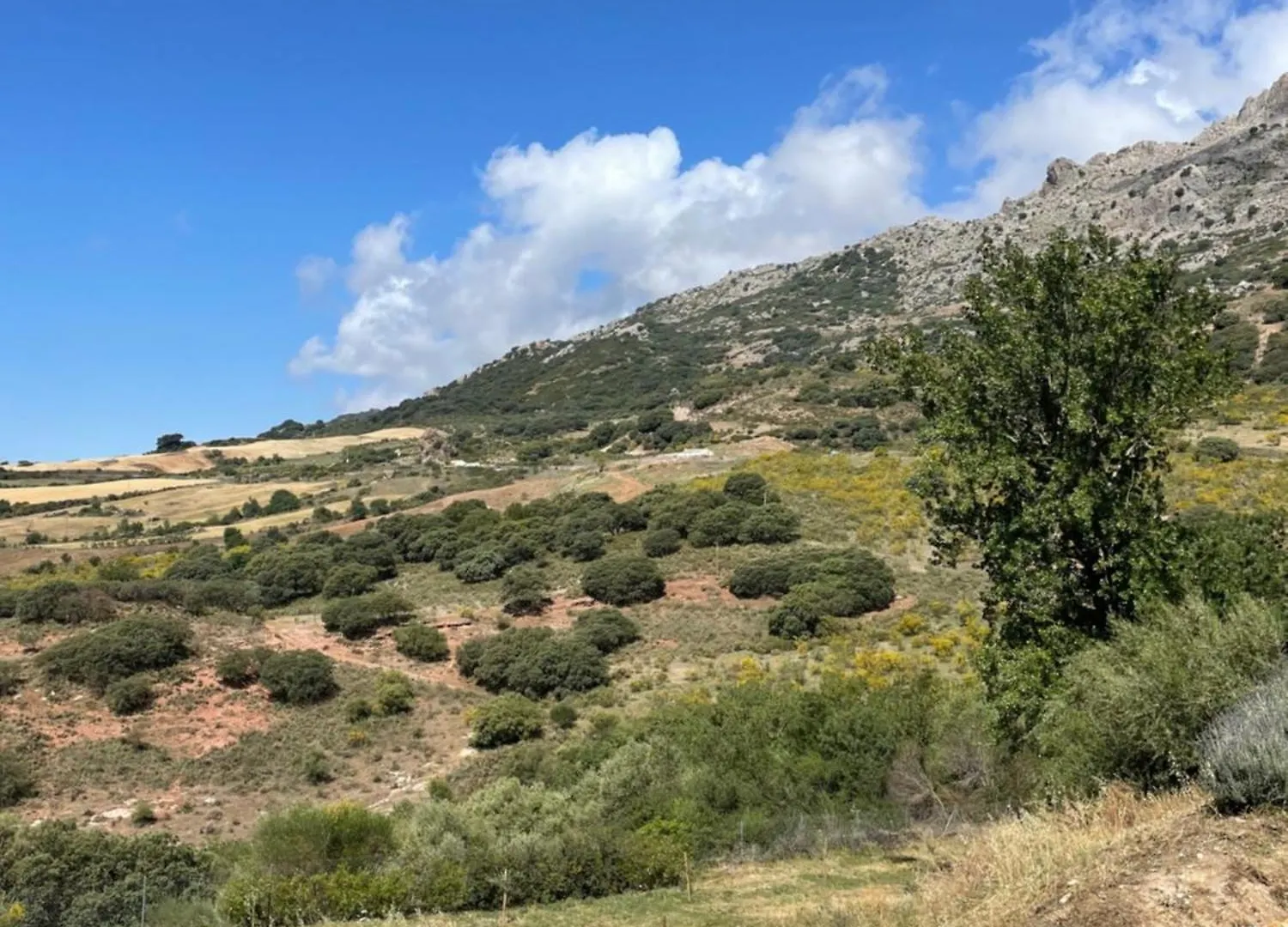 Cortijo Rancho Verde Colmenar 0*,  Spain