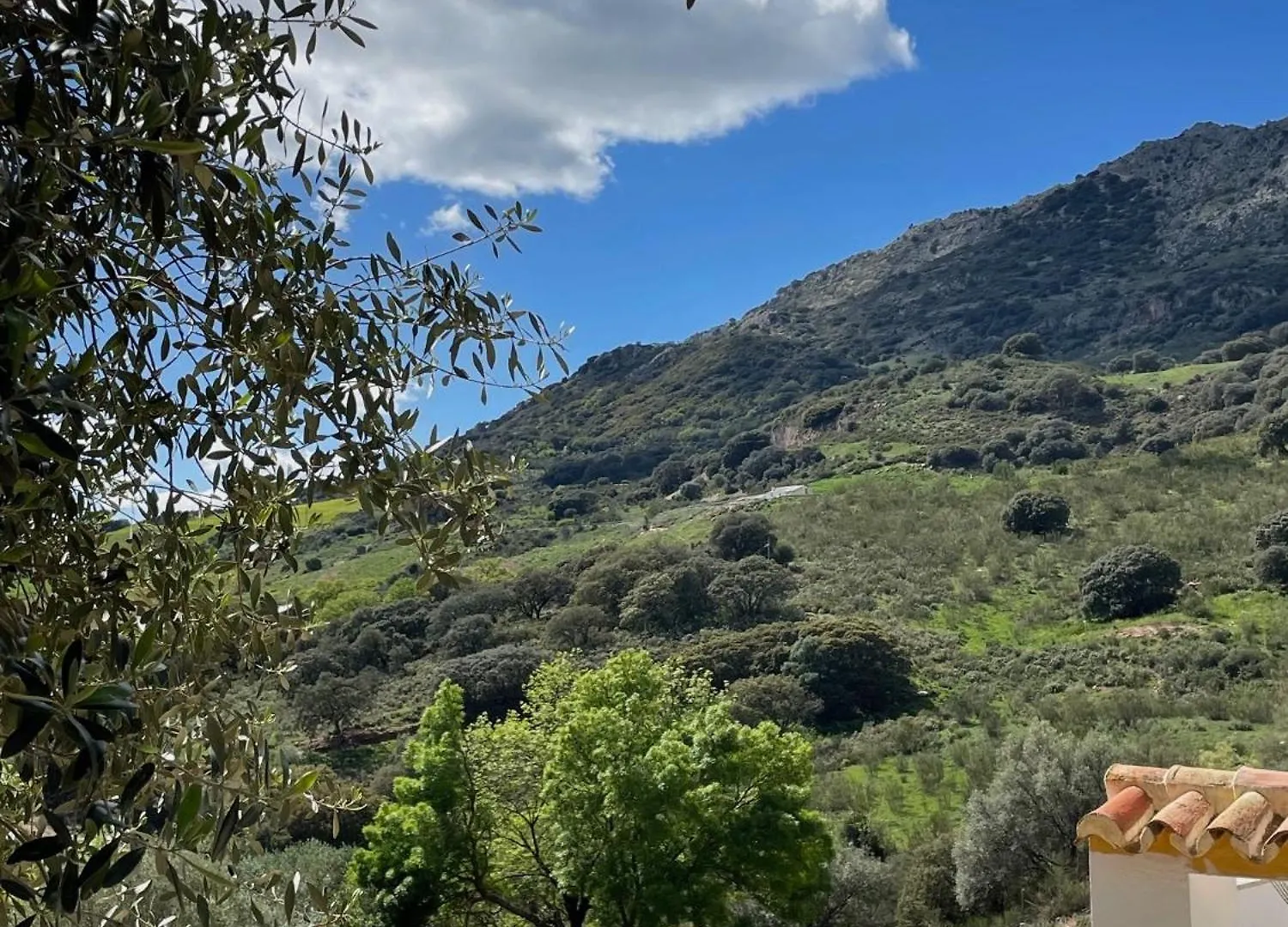 Cortijo Rancho Verde Apartment Colmenar